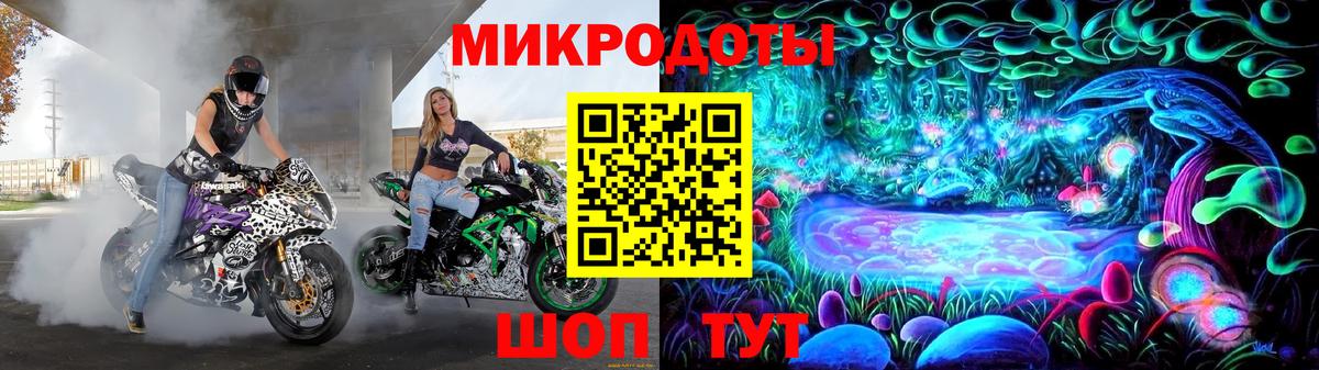 Псилоцибиновые грибы Psilocybe Фурманов
