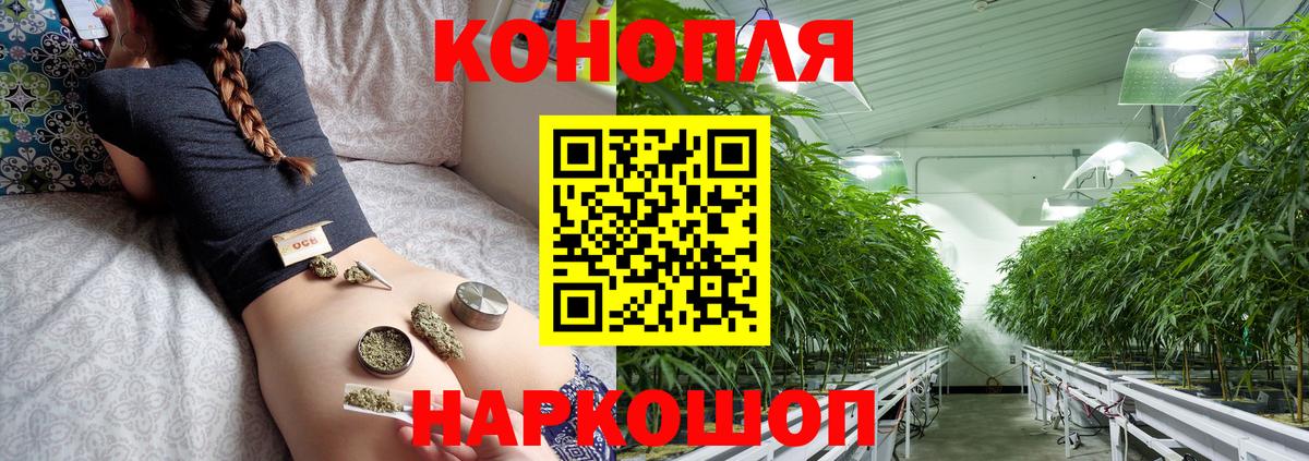Канабис сатива Фурманов